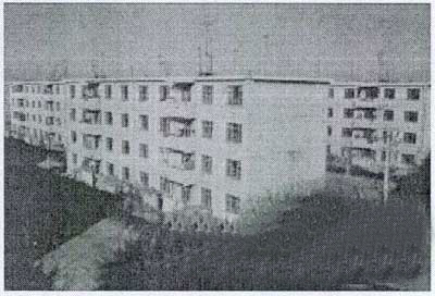 唐山震后单一化的住宅形式