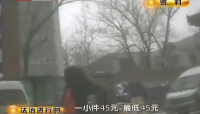 视频新闻：北京查处在住人集装箱 堪称“行为艺术”